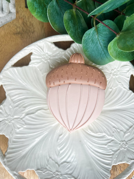 Utstikker Ekornnøtt