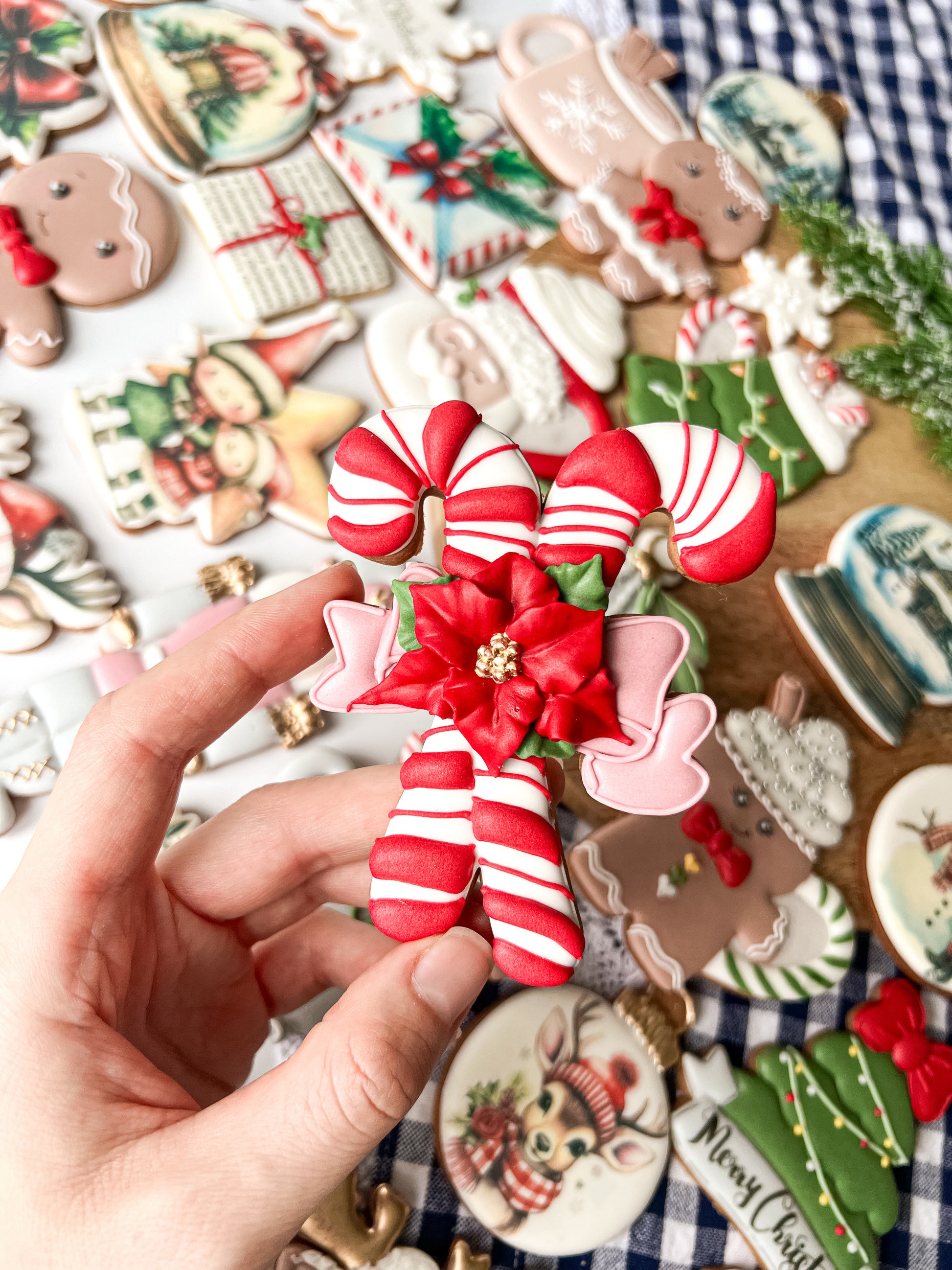 Kjeks, sukkerrør, julestjerne, pepperkake, dekorasjon, håndlaget, julegodt, julepynt, jul, fargerik